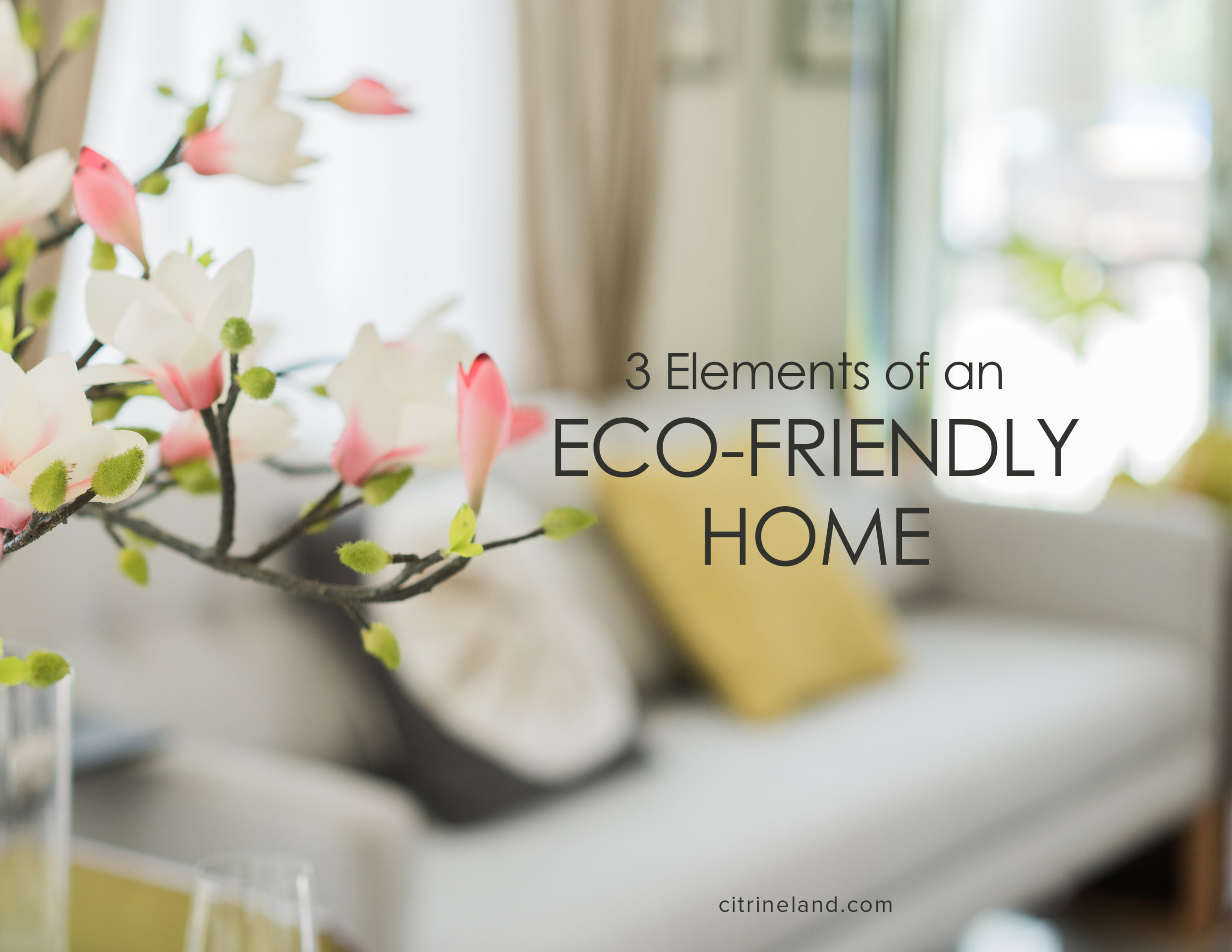 Looking For An Eco-Friendly Home? 3 Elements You Need To Consider